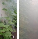 SMOG Garlic dūminė šaškė šiltnamiams, 30 g